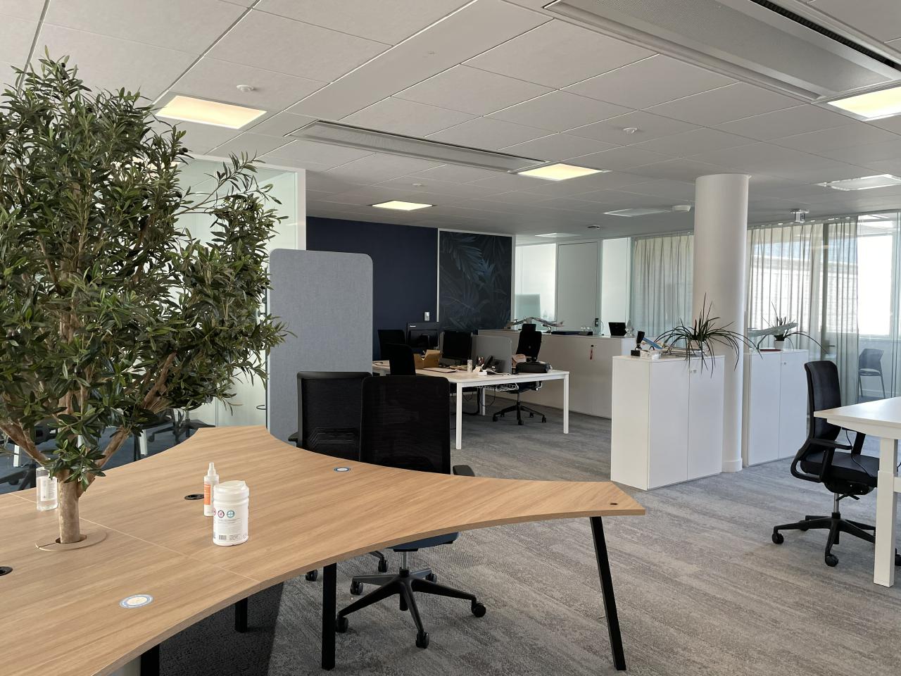 Bureau Tremblay-en-France 5000m² Location bureau Tremblay-en-France Seine-Saint-Denis OLBUR2313660 6